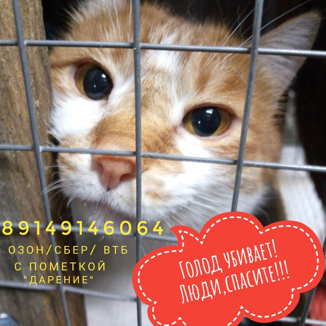 Семейный блог Друзья для души