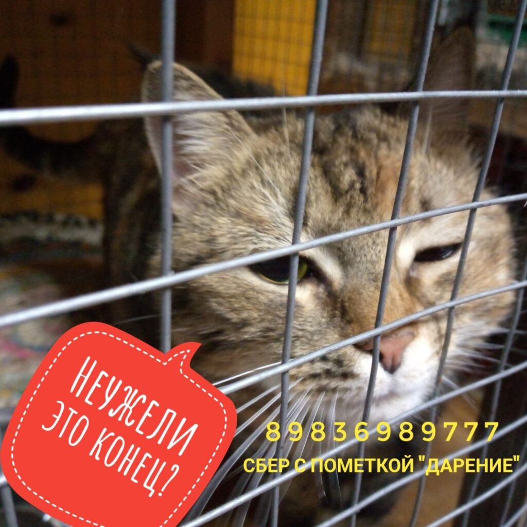 Семейный блог Друзья для души