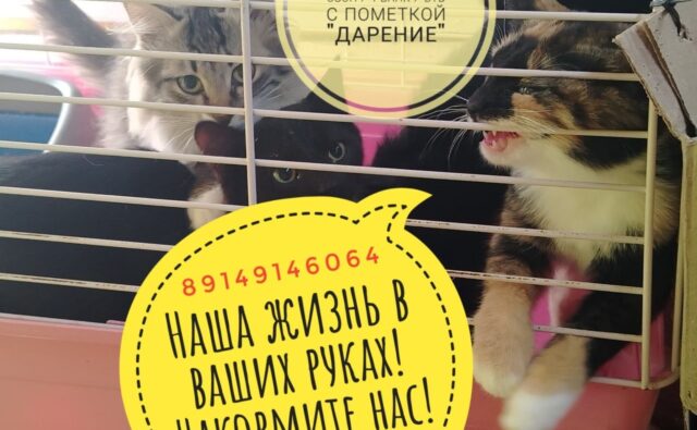 24 июля — День рождения&hellip;